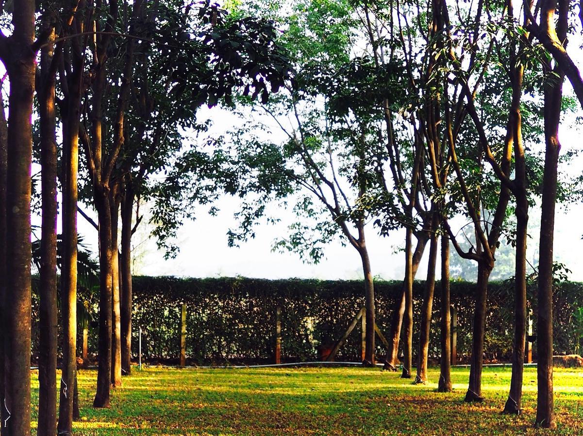 Singha Rubber Tree Ban Huai Maenam Noi Exterior foto