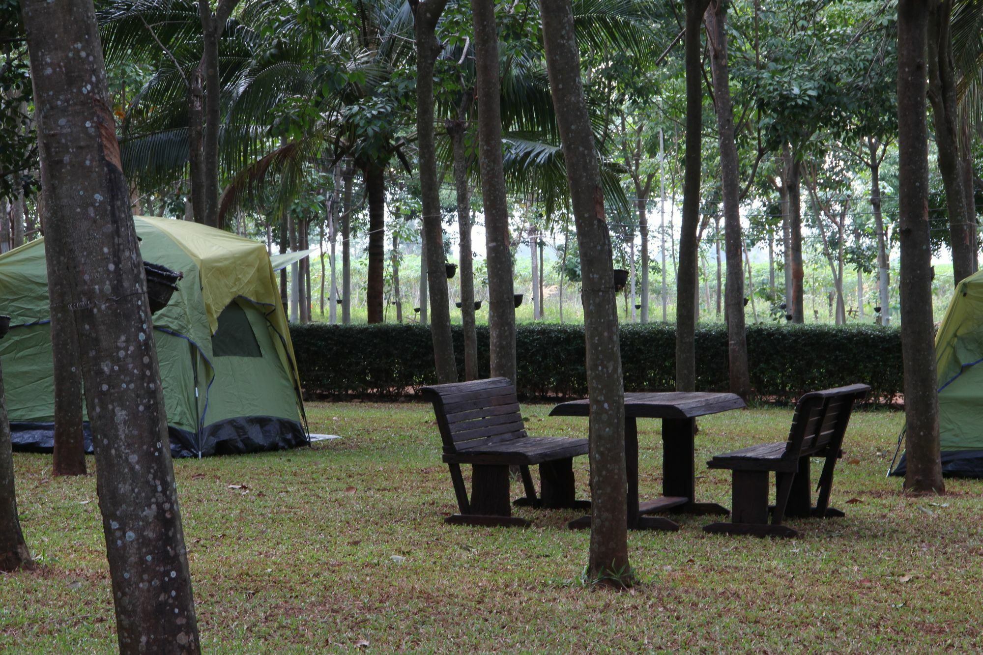 Singha Rubber Tree Ban Huai Maenam Noi Exterior foto