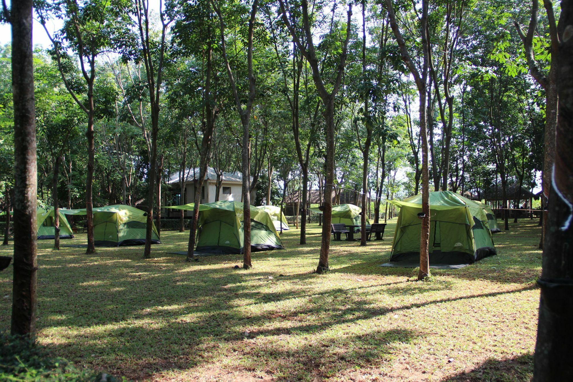 Singha Rubber Tree Ban Huai Maenam Noi Exterior foto